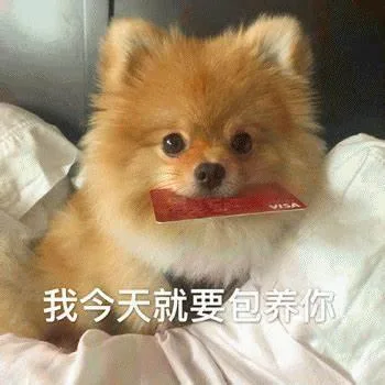 汪星人（汪星人）