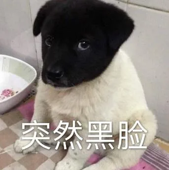 汪星人（汪星人）