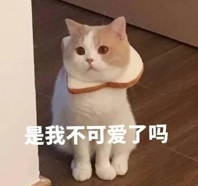 喵星人（喵星人）