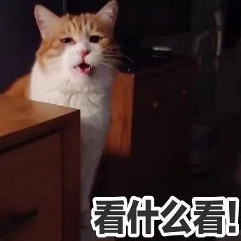 喵星人（喵星人）