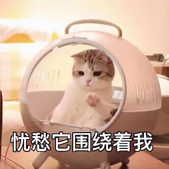 喵星人（喵星人）