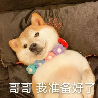 汪星人（汪星人）