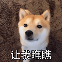 汪星人（汪星人）