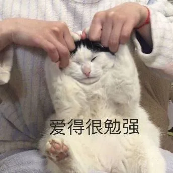 喵星人（喵星人）