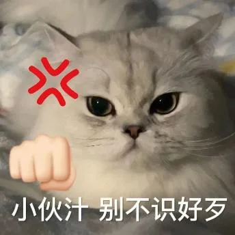 斗图（斗图）