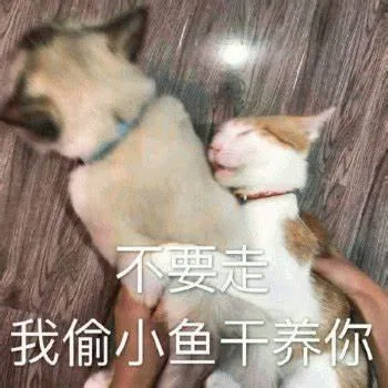 汪星人（汪星人）