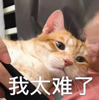 喵星人（喵星人）