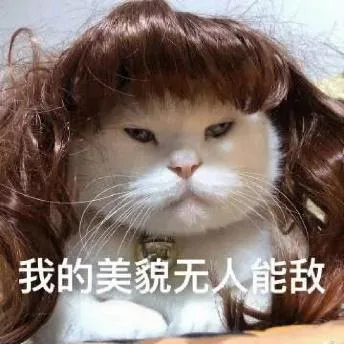 斗图（斗图）