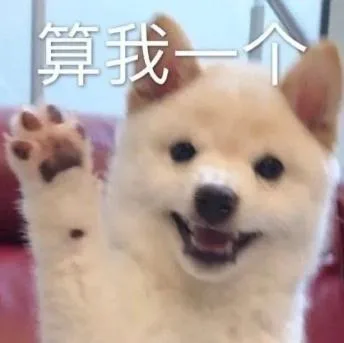 汪星人（汪星人）