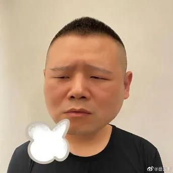 岳云鹏（岳云鹏）
