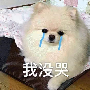 汪星人（汪星人）