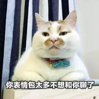 斗图（斗图）