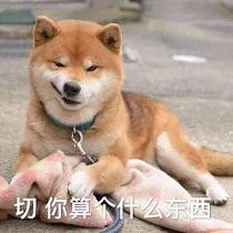 汪星人（汪星人）