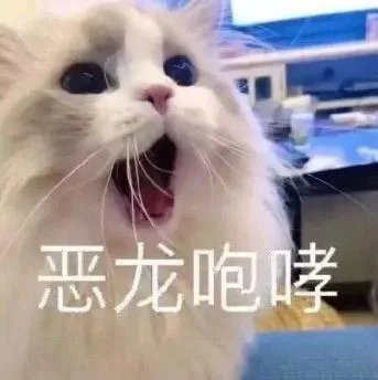 喵星人（喵星人）