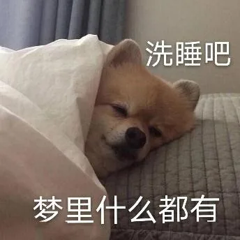 汪星人（汪星人）