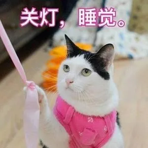 喵星人（喵星人）