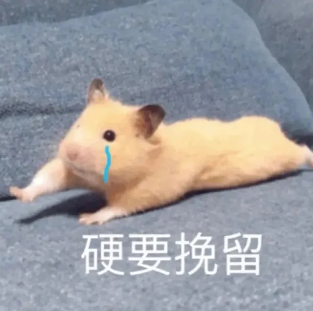 喵星人（喵星人）