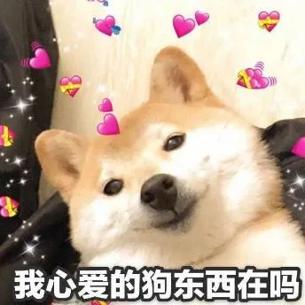 汪星人（汪星人）