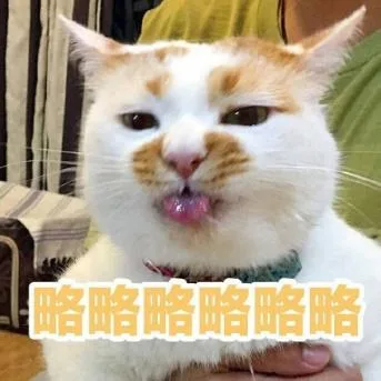 喵星人（喵星人）