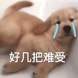 汪星人（汪星人）