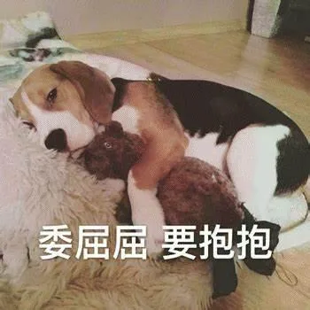 汪星人（汪星人）