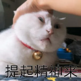 喵星人（喵星人）