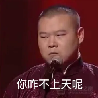 岳云鹏（岳云鹏）