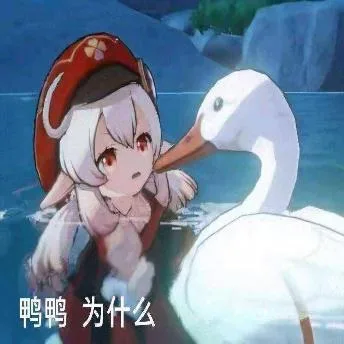 原神（原神）