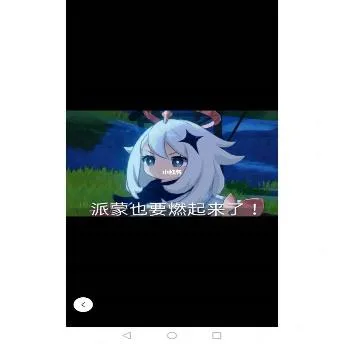 原神（原神）