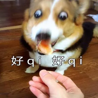 喵星人（喵星人）
