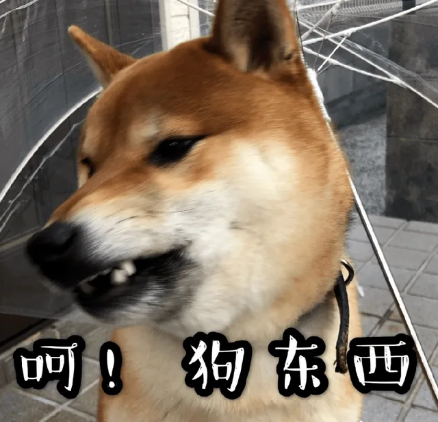 汪星人（汪星人）