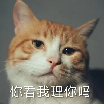 喵星人（喵星人）