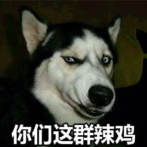 汪星人（汪星人）