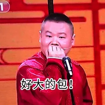 岳云鹏（岳云鹏）