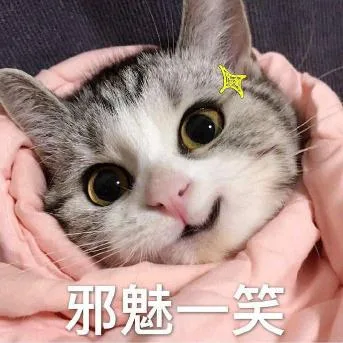 喵星人（喵星人）