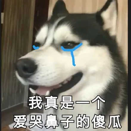 汪星人（汪星人）