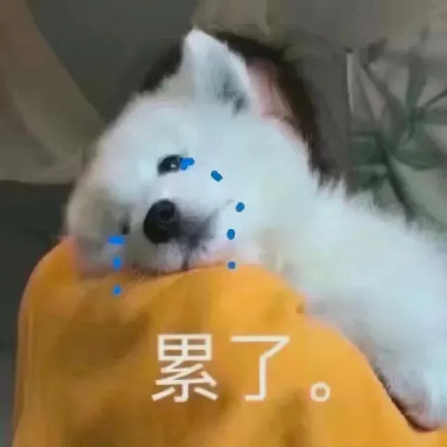 汪星人（汪星人）