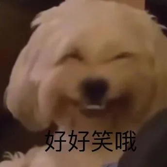 汪星人（汪星人）