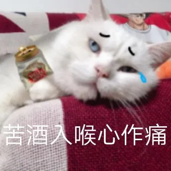 喵星人（喵星人）