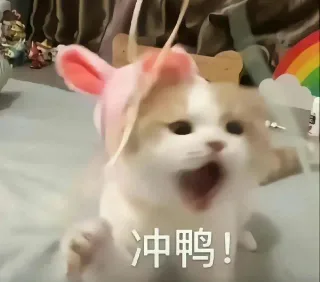 各种花式装逼系列表情包第092张