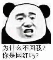 熊猫头（熊猫头）