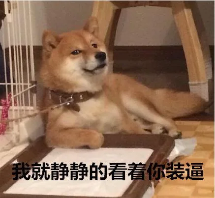 汪星人（汪星人）