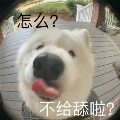 汪星人（汪星人）