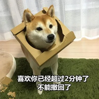 汪星人（汪星人）