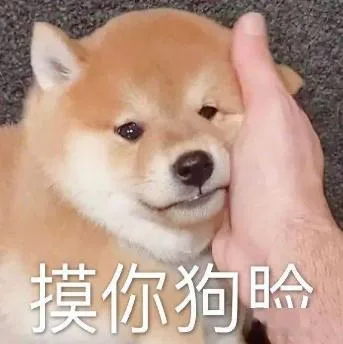 汪星人（汪星人）