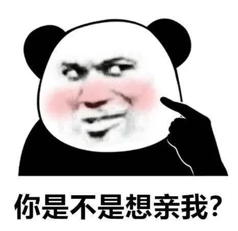 熊猫头（熊猫头）