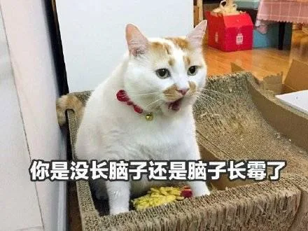喵星人（喵星人）