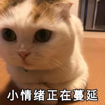 喵星人（喵星人）