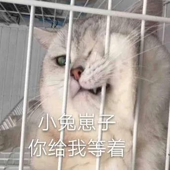 喵星人（喵星人）