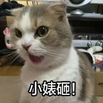 喵星人（喵星人）
